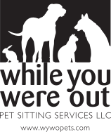 While you were out shop pet sitting
